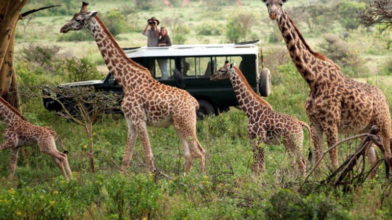 Have an African Adventure with Hemingways Expeditions